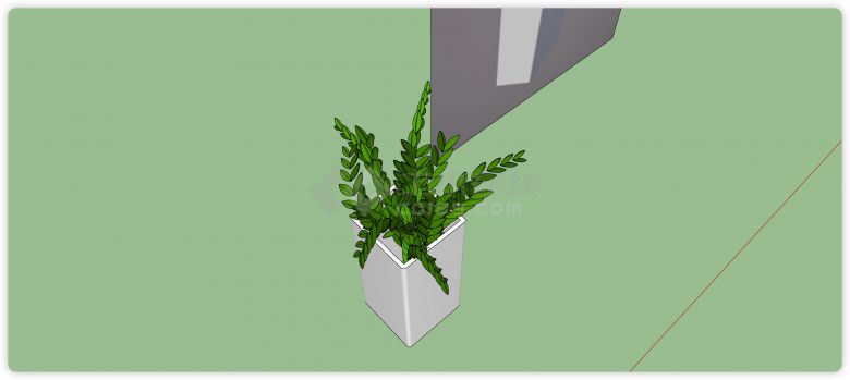 长方体白瓷花盆金钱树室内植物su模型-图二