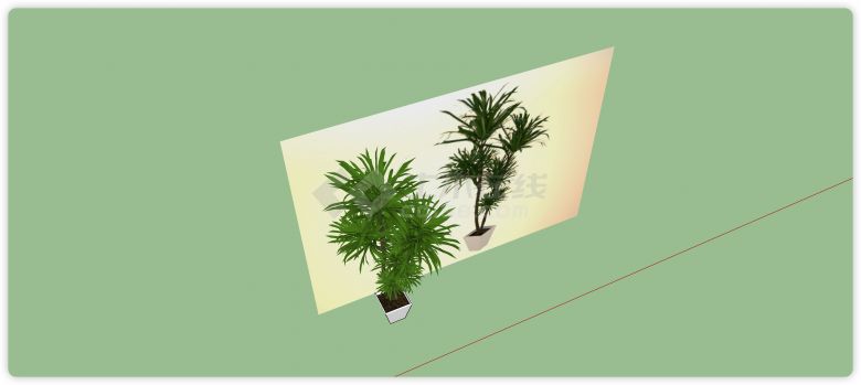 白色方盆椰子树室内植物su模型-图二