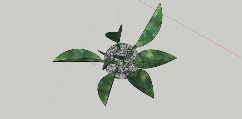现代中型绿叶植物 su模型-图二