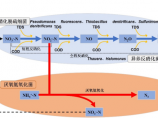 中水处理回用图片1