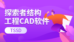 探索者结构工程CAD软件【TSSD】