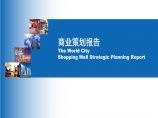 [北京]商业地产项目策划报告分析（176页，附案例）图片1