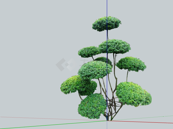 圆形现代细致造型树su模型-图二