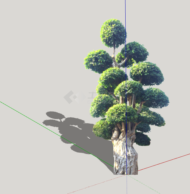 球形复古造型松树组合 su模型-图二