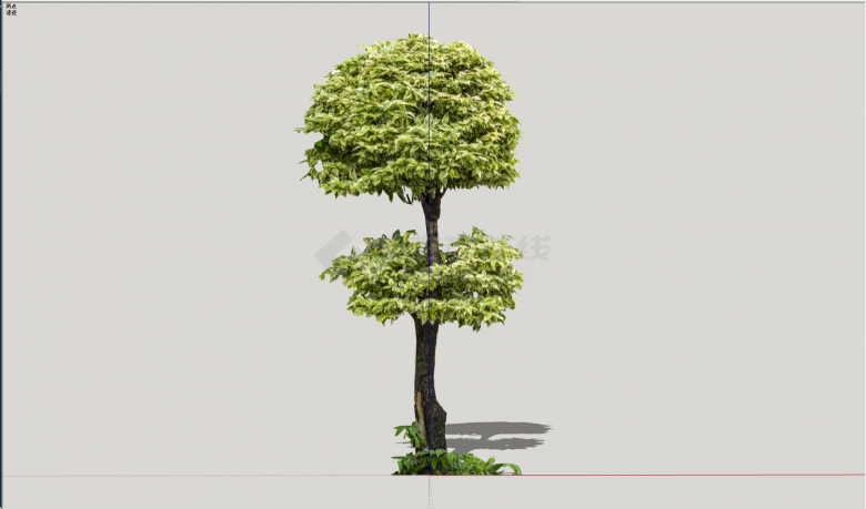 小型伞状植物景观su模型-图二