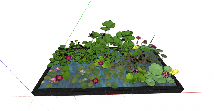 现代色彩丰富多种水生植物su模型_图1