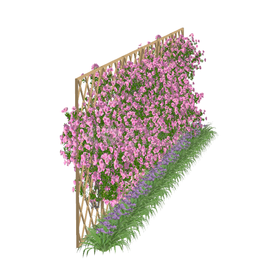 现代花类攀爬植物su模型-图一