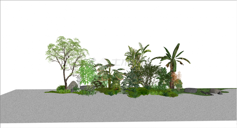 绿色的茂盛的常用植物组团su模型-图一