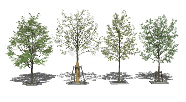 四棵枝繁叶茂的街边树木su模型-图一