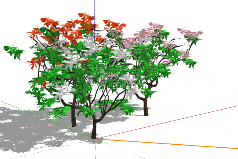 低矮红花3d有色叶树木su模型-图二