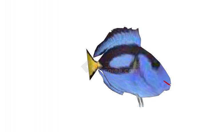 蓝黑黄三色水族馆鱼类动物su模型-图二