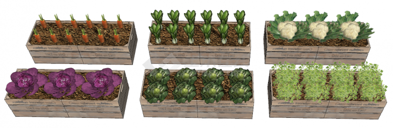 带有字母的木板材质的蔬菜种植器皿su模型-图一