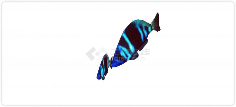 夜光蓝色水族馆鱼类动物组合su模型-图二