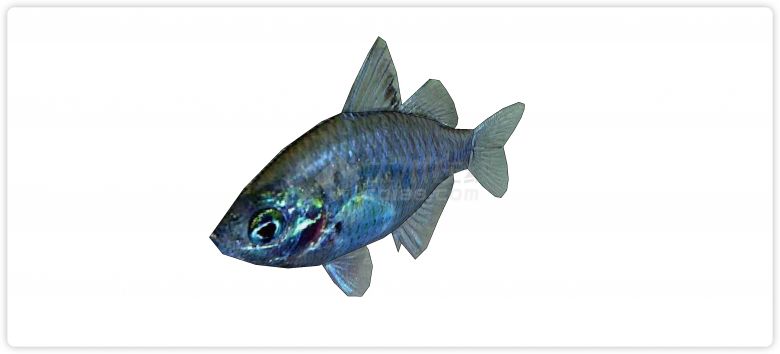 蓝色发光水族馆鱼类动物组合su模型-图二