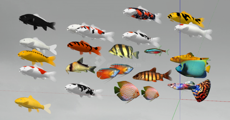 各种颜色的名贵观赏鱼组合su模型-图二