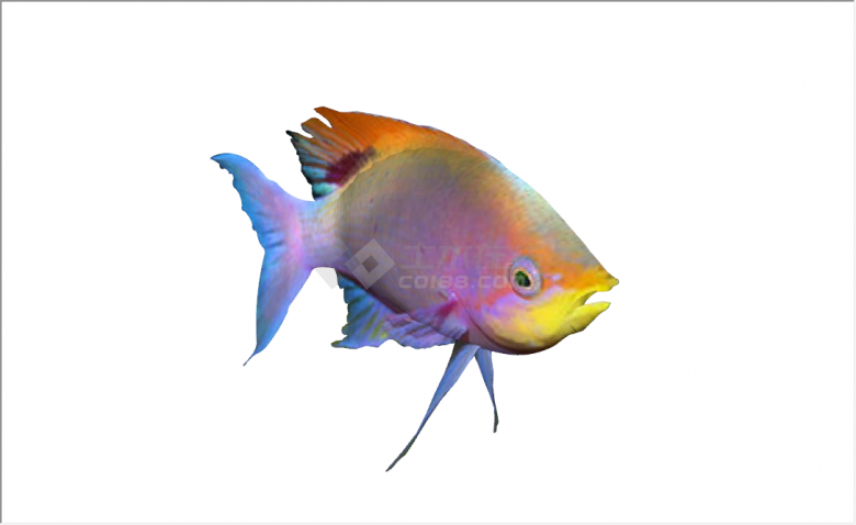 现代彩色鱼雕塑小品海洋生物su模型-图一