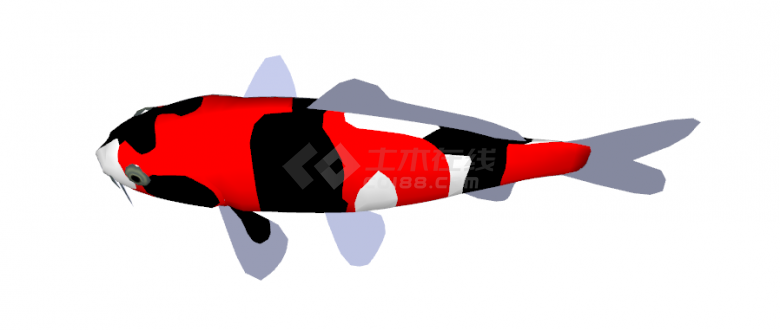 一只红黑白三色相交的鱼的su模型-图二
