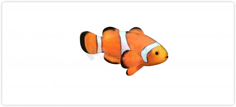 小丑鱼现代鱼雕塑小品su模型-图二
