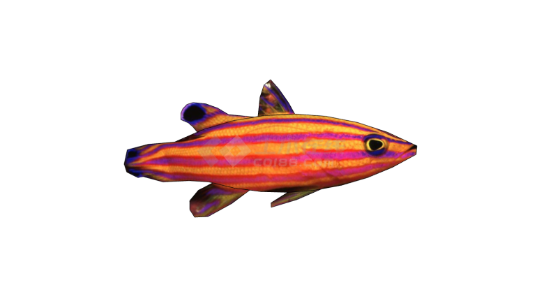水族馆彩色横纹鱼类动物su模型-图一