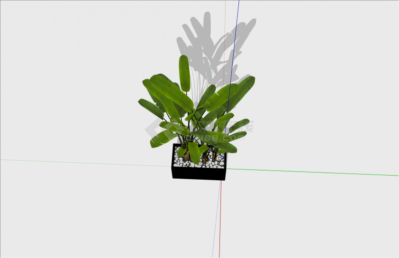 简约氛围感植物盆栽su模型-图二