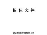 安徽某大型综合性社区项目建设工程招标文件图片1