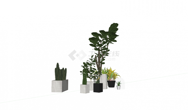 现代风格盆栽绿植摆件组合su模型-图二