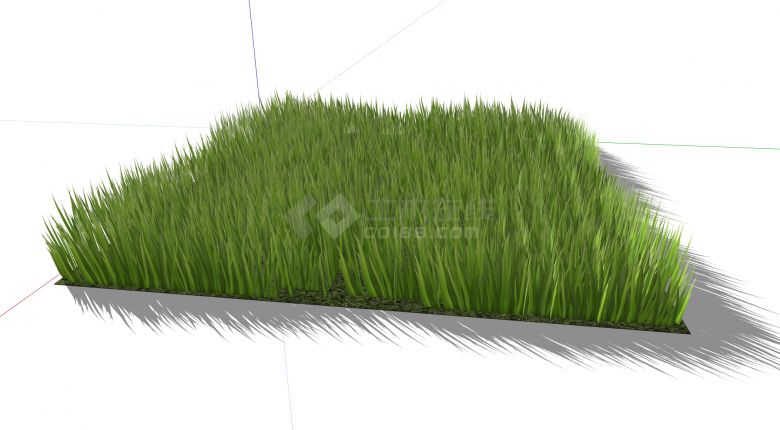 绿色平整茂盛植物草花su模型-图二