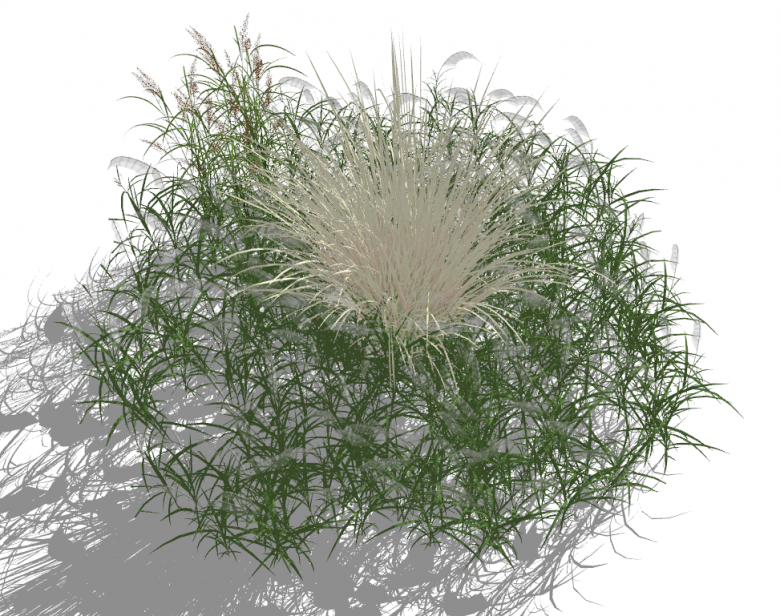 圆形带白色植物的草坪su模型-图一