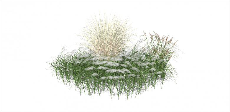 现代三类别植物草花su模型-图二