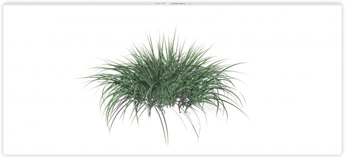 茂密生机勃勃绿色草丛水生植物su模型_图1