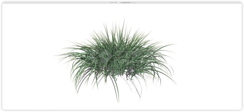 茂密生机勃勃绿色草丛水生植物su模型-图一
