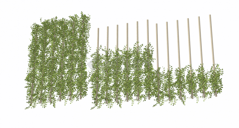 现代景观竹藤垂直绿化su模型-图二