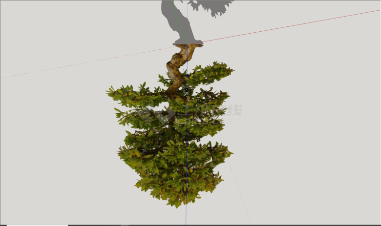 现代公园绿化造型树su模型-图二