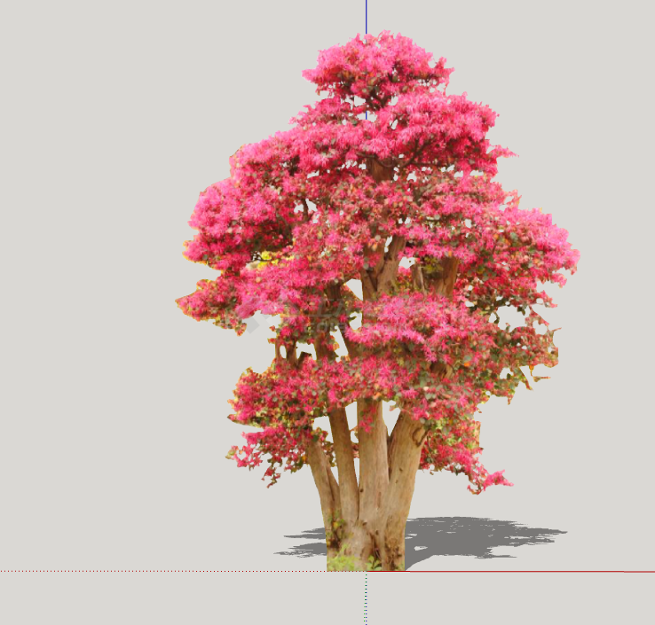 粉色现代绿丝带造型树su模型-图一