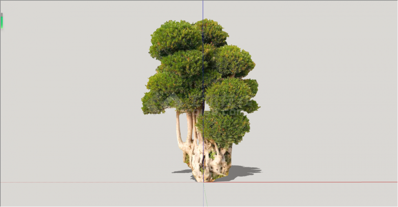 现代大型绿丝带造型树su模型-图二