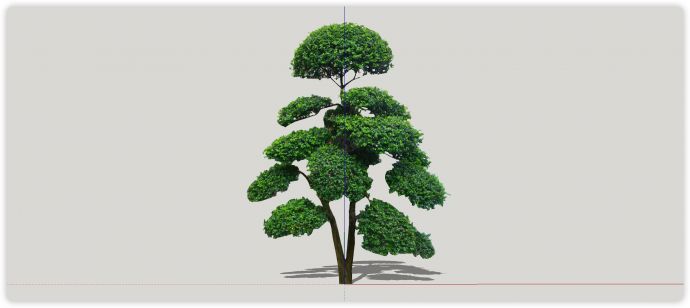 葱绿细杆优美造型树su模型_图1