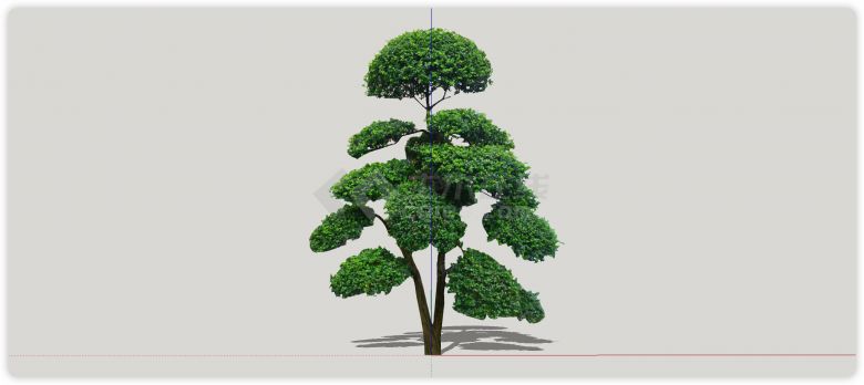 葱绿细杆优美造型树su模型-图一