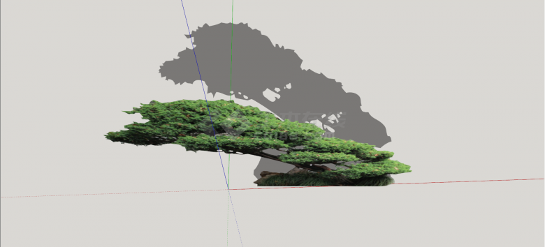 高干铺地松造型松树组合su模型-图二