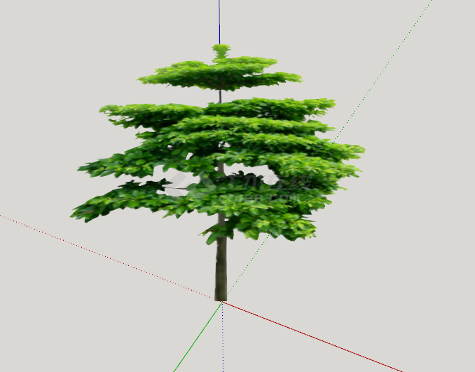 金钱容树绿丝带造型树su模型-图二