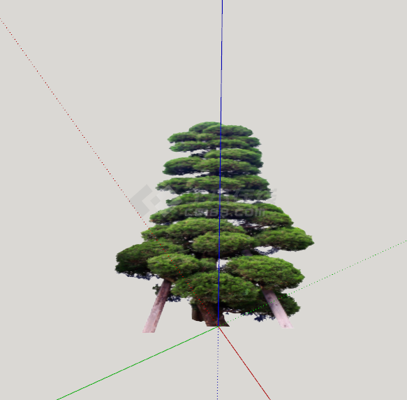 万青年树绿丝带造型树su模型-图二