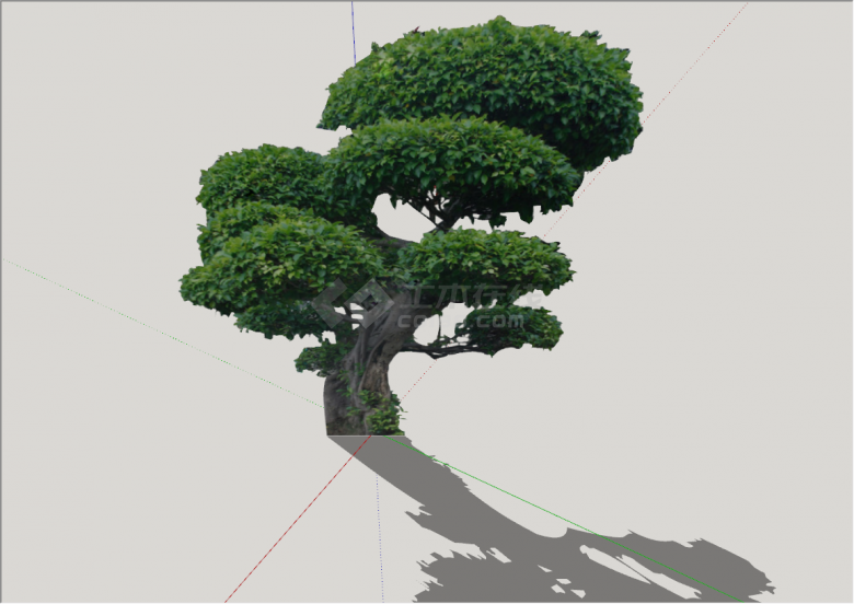 景观造型景观树组合su模型-图一