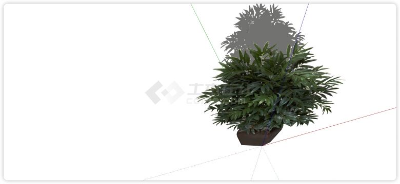 黑色陶瓷盆绿植盆栽su模型-图二