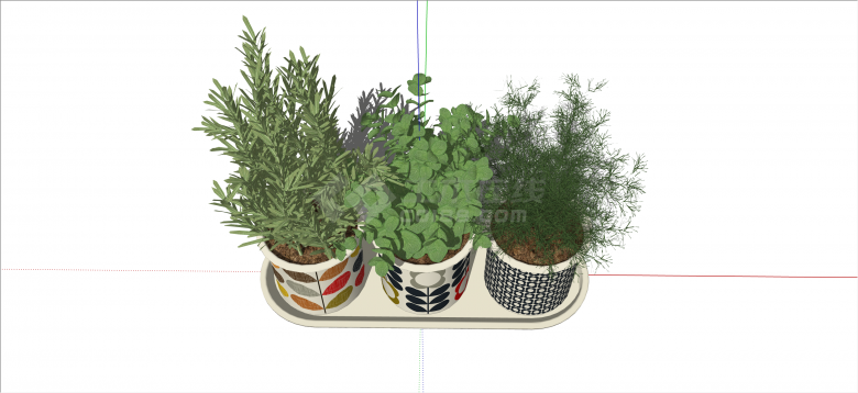 现代彩色图案绿植盆栽su模型-图二