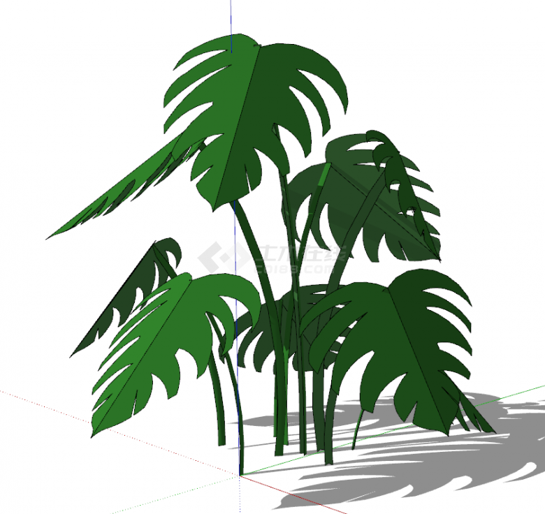 带有对称大叶子独立树枝叶子的灌木su模型-图二