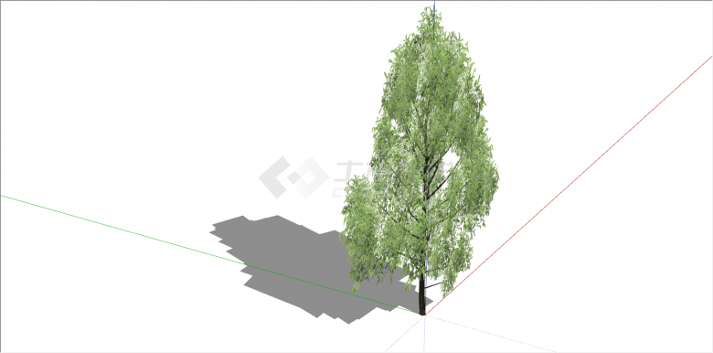 都市景区观赏性造型树su模型-图二