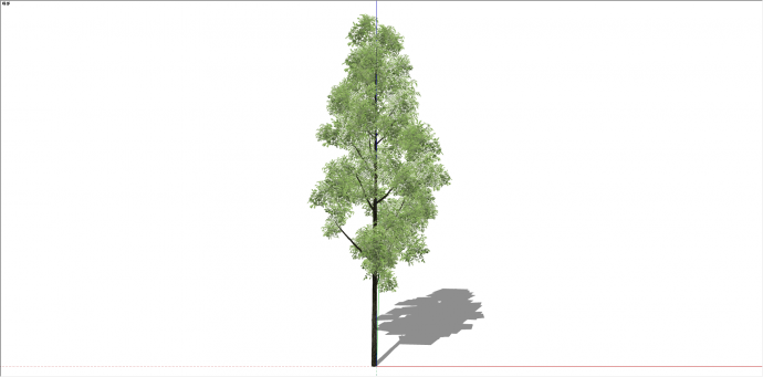 可观赏性树植物 su模型_图1