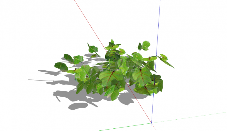 一棵绿色的景观植物su模型-图二