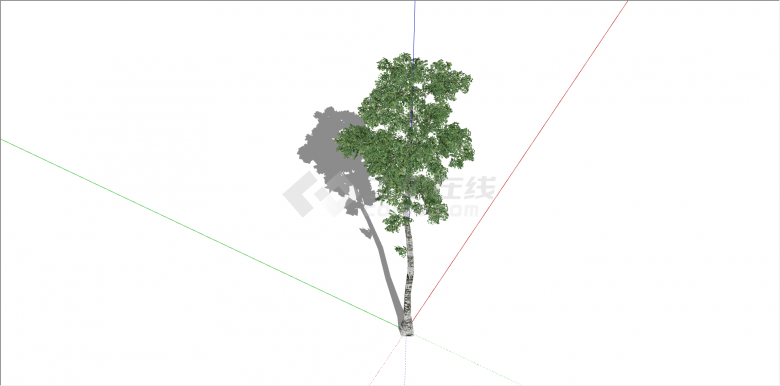 单棵庭院观赏性乔木树su模型-图二