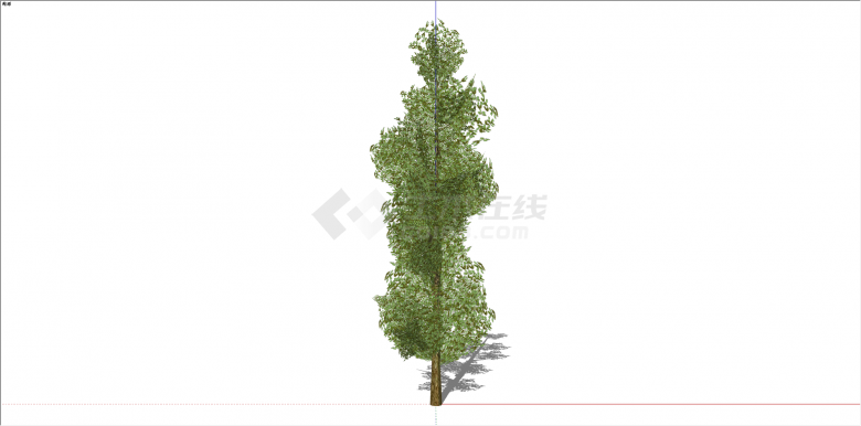 家种庭院绿色乔木树su模型-图一