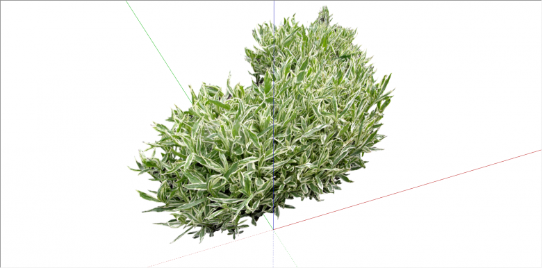 家居养殖绿白色叶植物su模型-图一